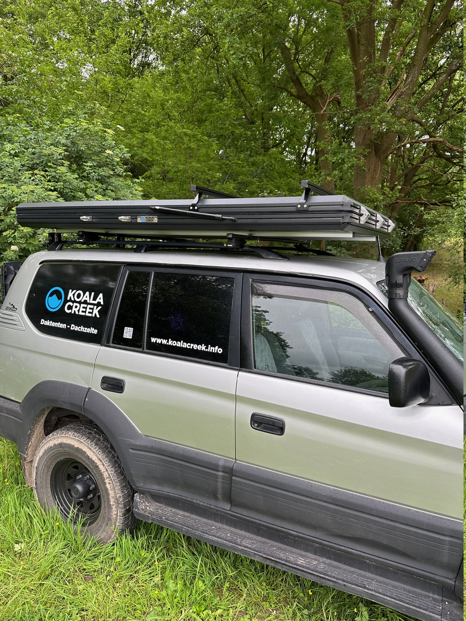 Koala Creek Roadtrip 130 — afbeelding 11