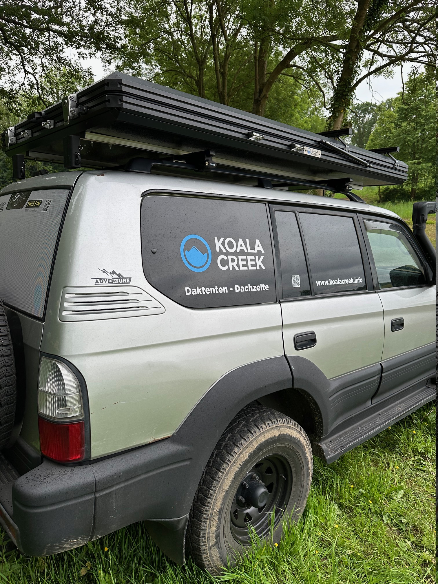 Koala Creek Roadtrip 130 — afbeelding 10